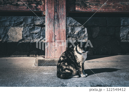 軒下の野良猫 122549412