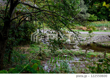 水車小屋と稲田がある風景 水車小屋と稲田がある風景 122550600