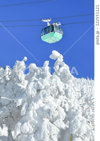 山形蔵王スキー場　ロープウェイと樹氷原の絶景 122551121