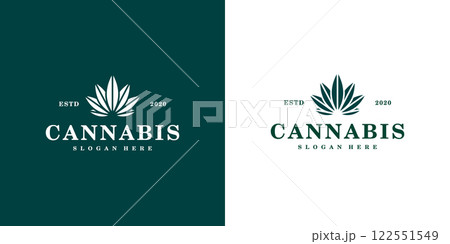 Cannabis marijuana leaf logo vector 122551549