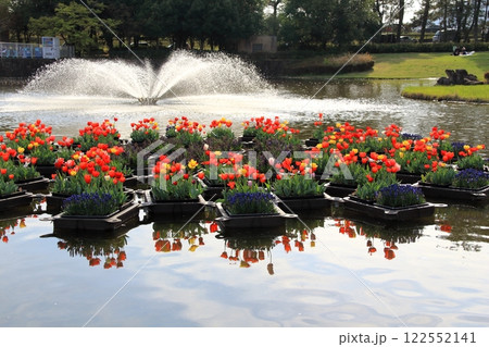 国営木曽三川公園散策・13（満開のチューリップ畑） 122552141