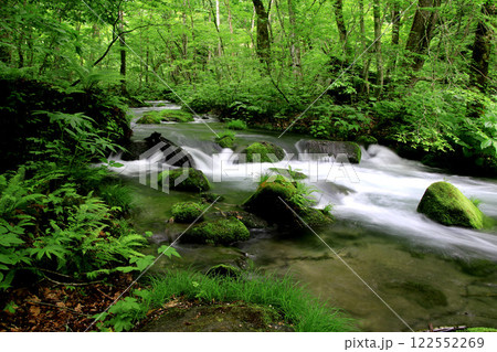 初夏の奥入瀬渓流（青森県・十和田市） 122552269