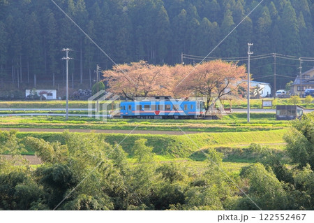 桃の花の里根尾路・3（岐阜県本巣市） 122552467