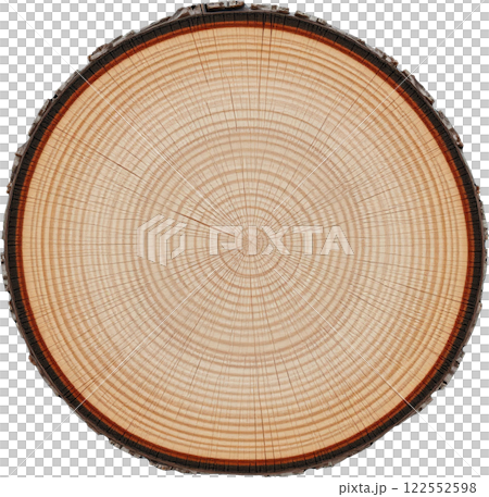 木材的橫截面 122552598