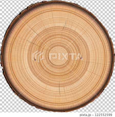 木材的橫截面 122552599