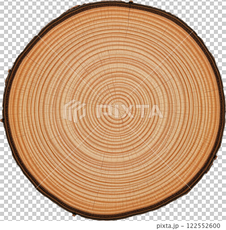 木材の断面 122552600