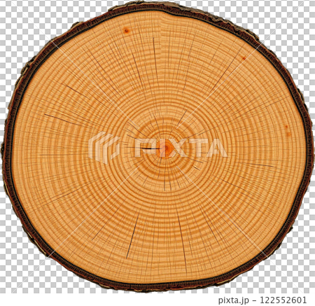 木材的橫截面 122552601