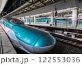 夜の東京駅に発着する新幹線 122553036