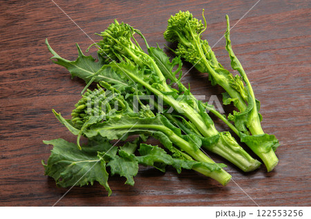 チーマディラーパ、イタリアの菜の花 チーマディラーパ、イタリアの菜の花 122553256