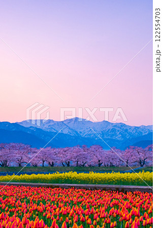 あさひ舟川・春の四重奏 122554703