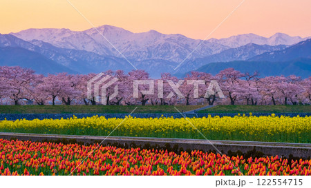 あさひ舟川・春の四重奏 あさひ舟川・春の四重奏 122554715