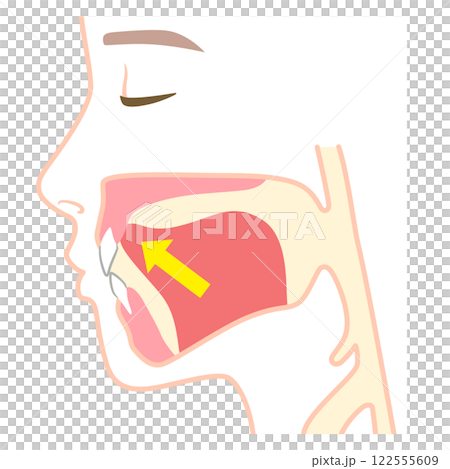 舌頭位置不正確－舌頭位置下垂 122555609
