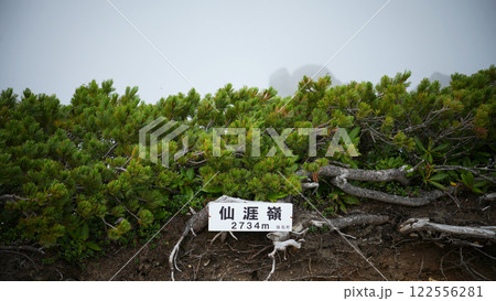 仙涯嶺 仙涯嶺 122556281