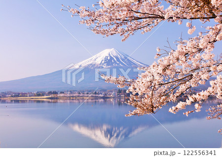 日本の春　富士山と桜 122556341