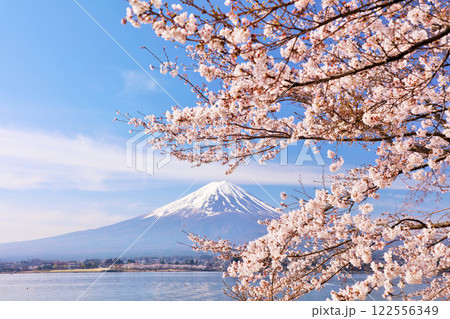 日本の春　富士山と桜 122556349