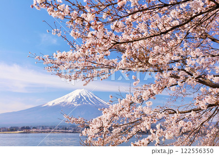日本の春 富士山と桜 日本の春 富士山と桜 122556350