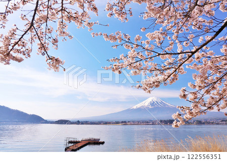 日本の春 富士山と桜 日本の春 富士山と桜 122556351