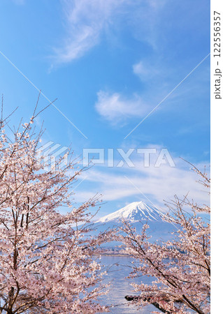日本の春　富士山と桜 122556357