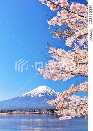 日本の春　富士山と桜 122556380