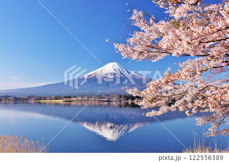 日本の春　富士山と桜 122556389