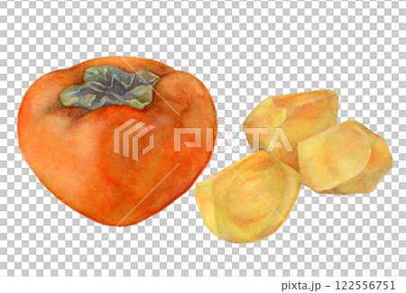 Seedless persimmon watercolor illustration 122556751