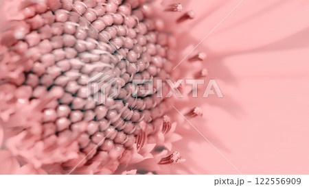 A close-up of a flower's intricate center, bathed in soft, monochromatic pink tones, highlighting its delicate textures and natural symmetry. 122556909