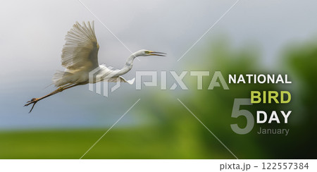 National bird day 122557384