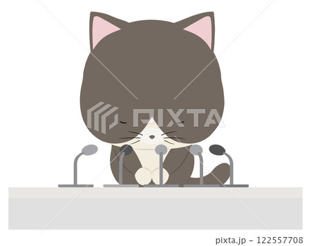 謝罪会見をするハチワレ猫 122557708