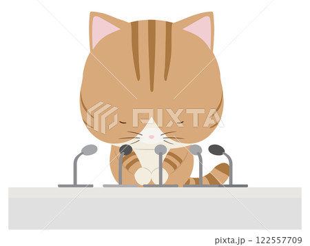 謝罪会見をする茶トラ猫 謝罪会見をする茶トラ猫 122557709