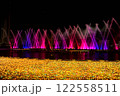 ヨミウリランドイルミネーショーン 122558511