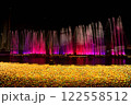 ヨミウリランドイルミネーショーン 122558512