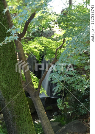 東京都千代田区北の丸公園の滝の風景 122558745