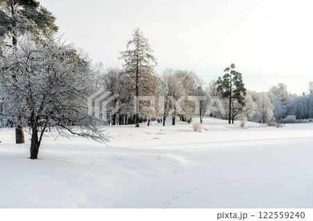 Winter park on a sunny day. Beautiful winter landscape. 122559240