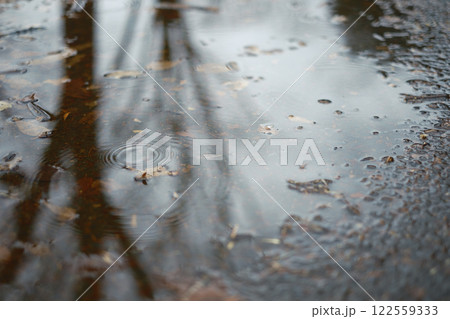 雨の日、水たまりの波紋 雨の日、水たまりの波紋 122559333