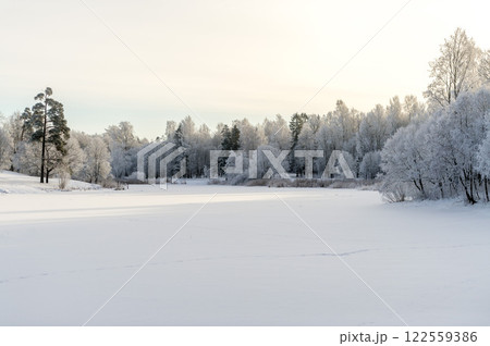 Winter park on a sunny day. Beautiful winter landscape. Winter park on a sunny day. Beautiful winter landscape. 122559386