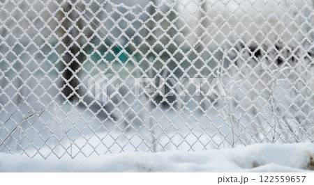 Frosty day in winter - snow on the fence. Frosty day in winter - snow on the fence. 122559657