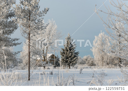 Winter landscape in a village on a sunny clear day. 122559731