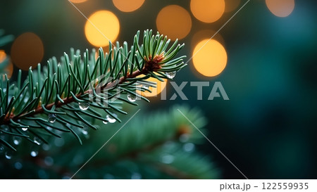 Tranquility of Pine with Morning Dew Background Tranquility of Pine with Morning Dew Background 122559935