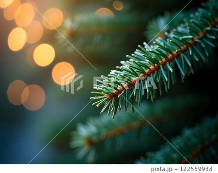 Tranquility of Pine with Morning Dew Background 122559938