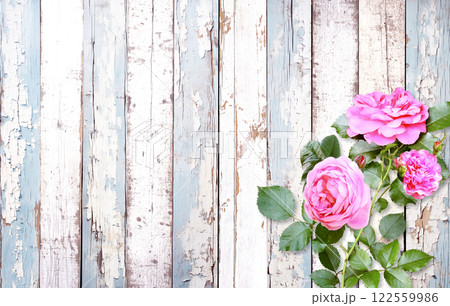 Pink roses on old wooden boards. Valentine's day horizontal banner with a romantic and vintage touch. Mother's day background with roses to express love, gratitude. Copy space for text 122559986