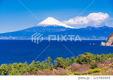 【静岡県】快晴の西伊豆井田から海越しに富士山 122560404