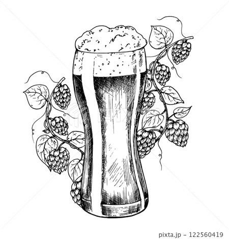 Vector Glass of beer with cap of foam and common hop. Graphic ink ale illustration, organic Humulus lupulus branch with leaves and cones isolated on background. Hand drawn line sketch. For designers Vector Glass of beer with cap of foam and common hop. Graphic ink ale illustration, organic Humulus lupulus branch with leaves and cones isolated on background. Hand drawn line sketch. For designers 122560419