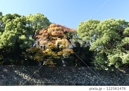 平川濠と江戸城石垣の風景 122561476