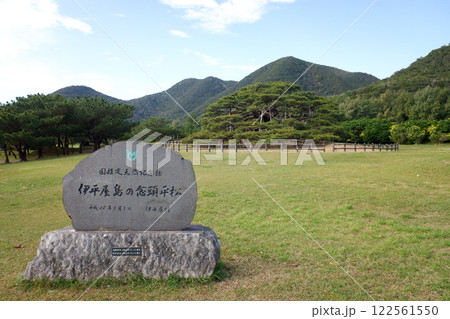 沖縄県　伊平屋島の念頭平松 122561550
