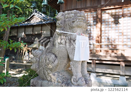 大阪　吹田　垂水神社　狛犬（初冬） 122562114