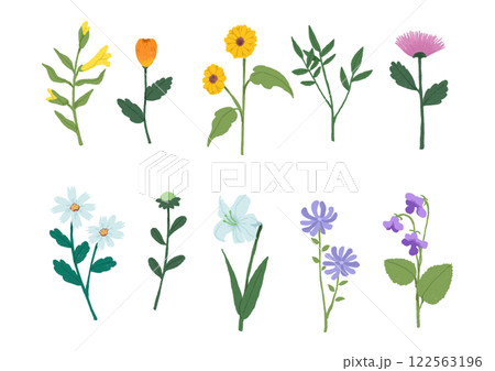 いろんな種類の一輪の花のイラスト 122563196