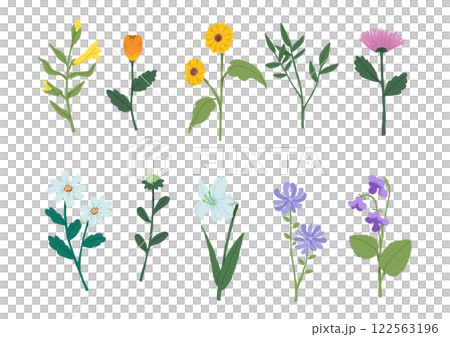 いろんな種類の一輪の花のイラスト 122563196