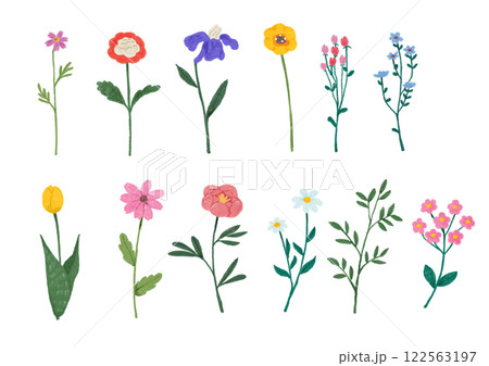 いろんな種類の一輪の花のイラスト 122563197