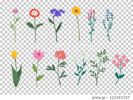 いろんな種類の一輪の花のイラスト 122563197