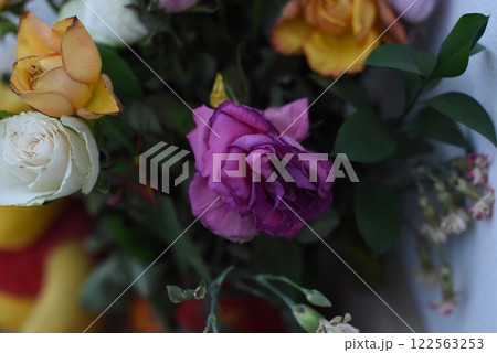 最盛期を過ぎた薔薇 最盛期を過ぎた薔薇 122563253